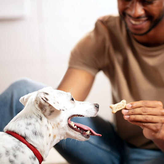 Milk-Bone Original Dog Treats Biscuits for Medium Dogs - 10 Pound