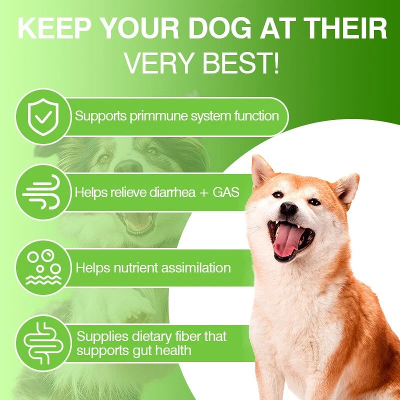 Aonai Probiotic Chews for Dogs - Digestive Support & Gut Health Soft Chews