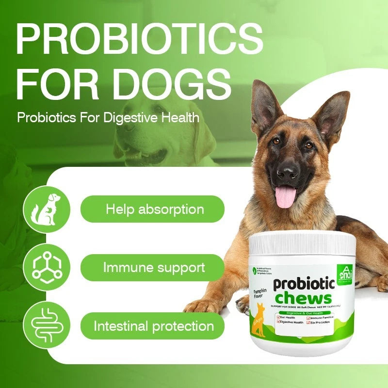 Aonai Probiotic Chews for Dogs - Digestive Support & Gut Health Soft Chews